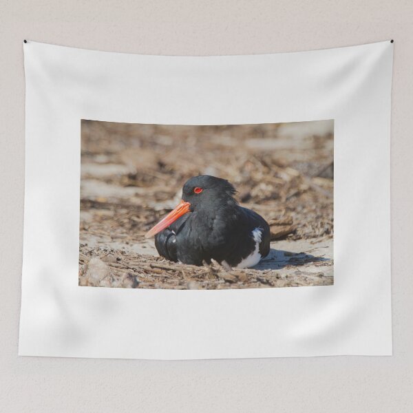 Item preview, Sunbathing Oystercatcher Style designed and sold by byronbackyard.