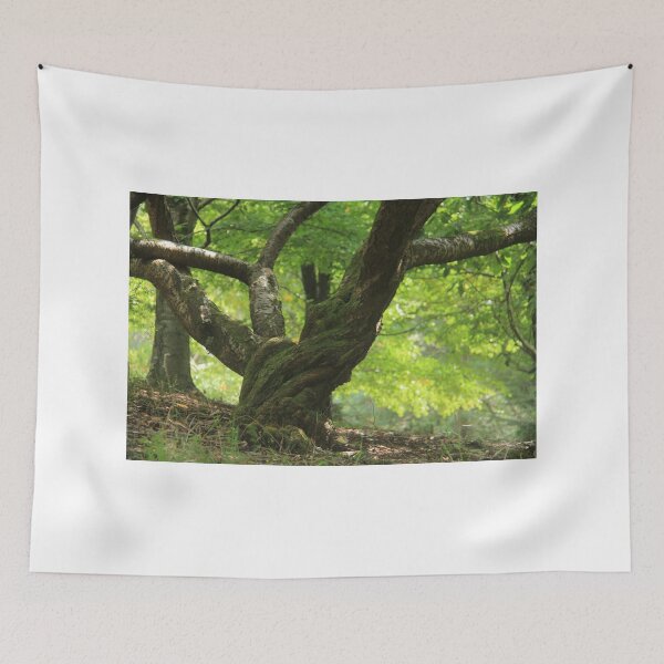 Item preview, Sherwood forest designed and sold by Adam Thomson.
