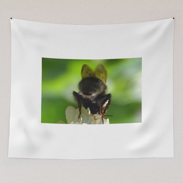 Item preview, Batty Bee................ designed and sold by lynn carter.