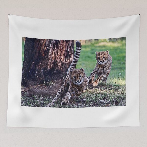Item preview, Cheetah Cubs designed and sold by miroslava.