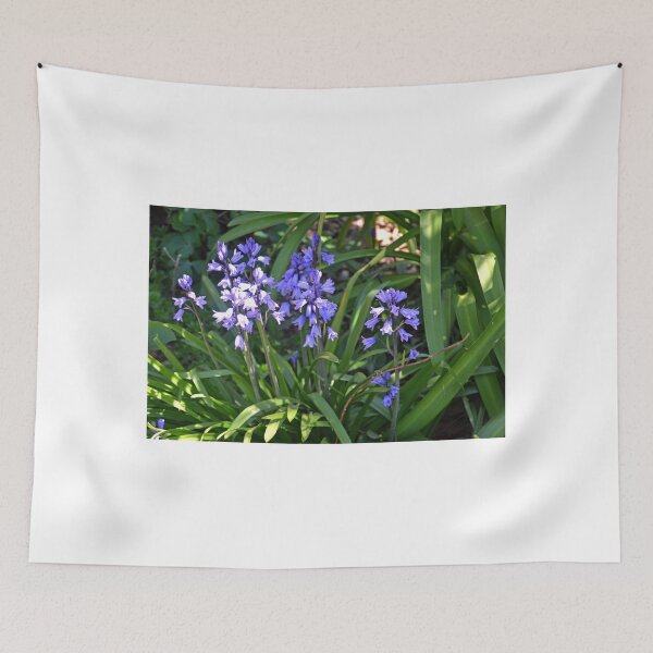 Item preview, Bluebells at Abbotsbury Dorset UK designed and sold by lynn carter.
