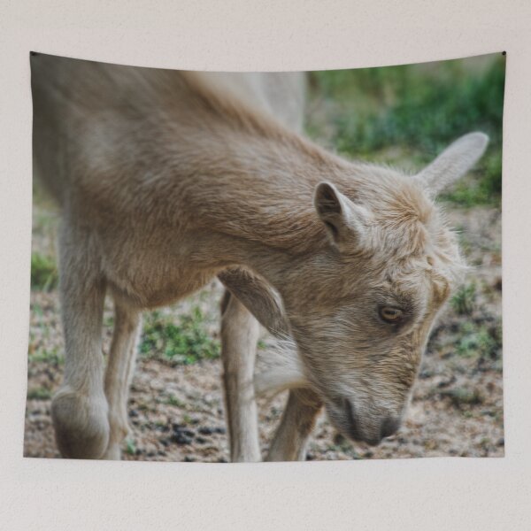 Item preview, Cream Colored Goat designed and sold by bloomingvine.