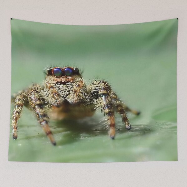 Item preview, Jumping Spider 2 designed and sold by relayer51.