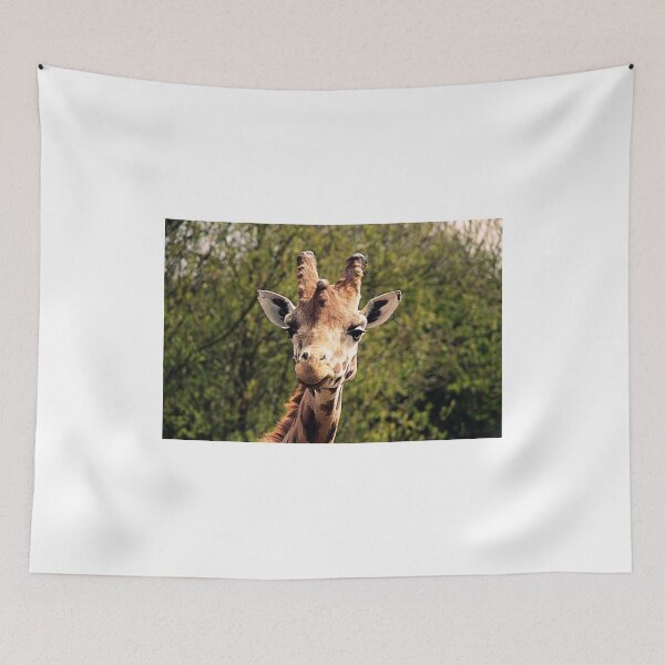 Item preview, Admire My Beauty designed and sold by Ladymoose.