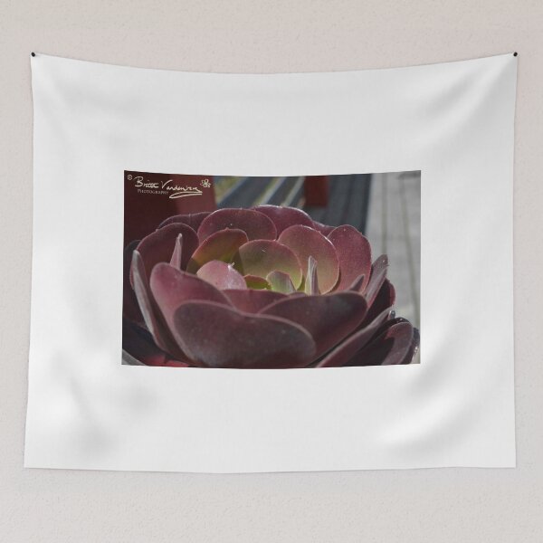 Item preview, jan juc garden at home designed and sold by brittavanden.