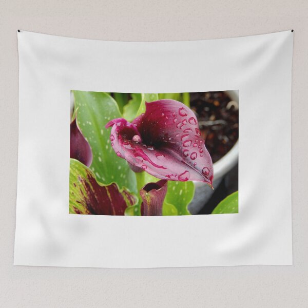 Item preview, Calla Lily       ^ designed and sold by ctheworld.
