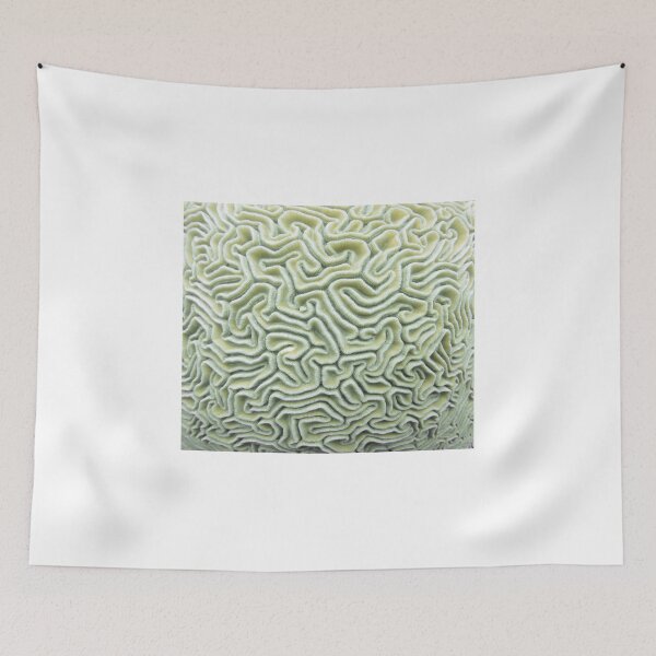 Item preview, Pic Your Brain Coral (Natural) designed and sold by My Natural Element.