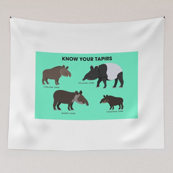 Item preview, Know Your Tapirs designed and sold by Peppermint Narwhal.