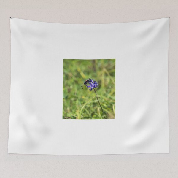 Item preview, Six-Spot Burnet Moth on Round Headed Rampion designed and sold by Sue Robinson.