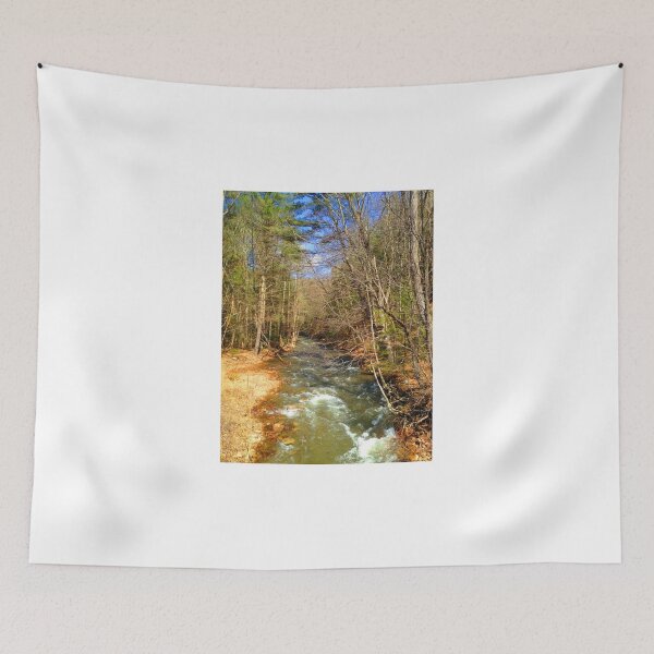 Item preview, A Creek in Deep Woods designed and sold by VisionQuestArts.