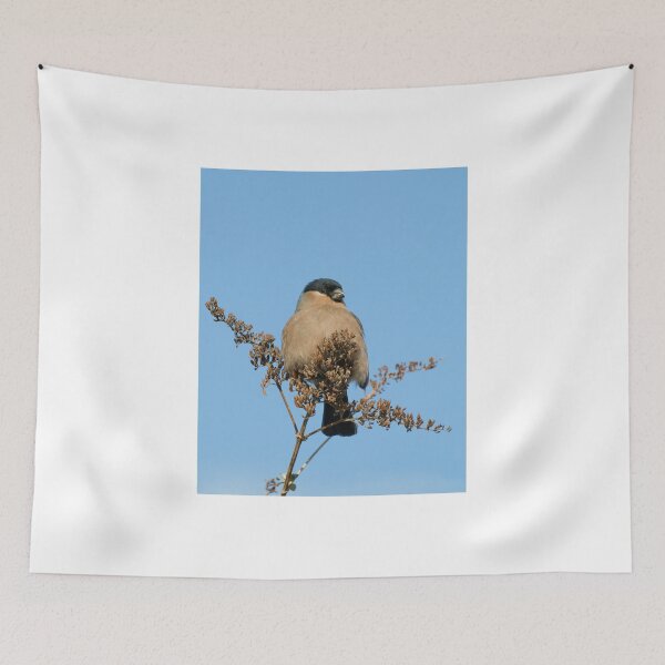 Item preview, Bullfinch Female designed and sold by Sue Robinson.