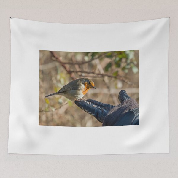 Item preview, Robin Feeding from Hand designed and sold by Sue Robinson.