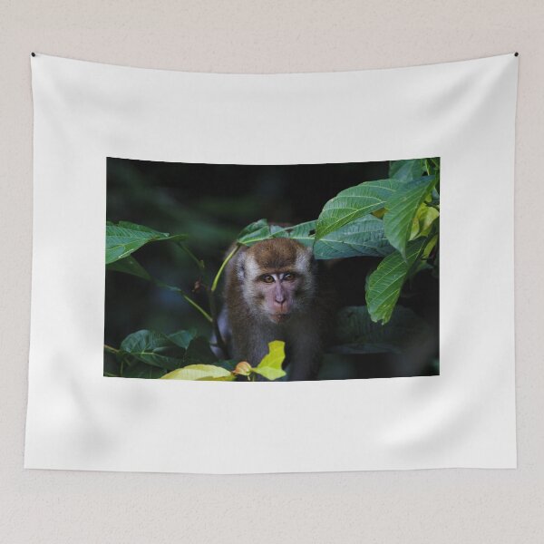 Item preview, Long-Tailed Macaque designed and sold by Jeremy Weiss.