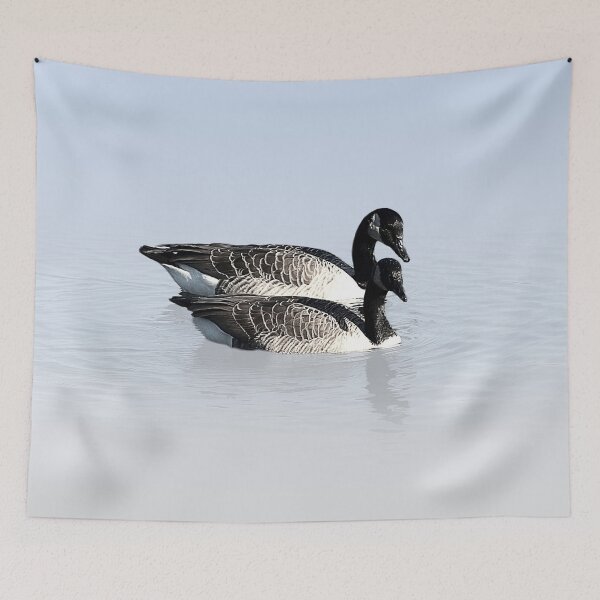 Item preview, Ducks  designed and sold by Dave Morrison.