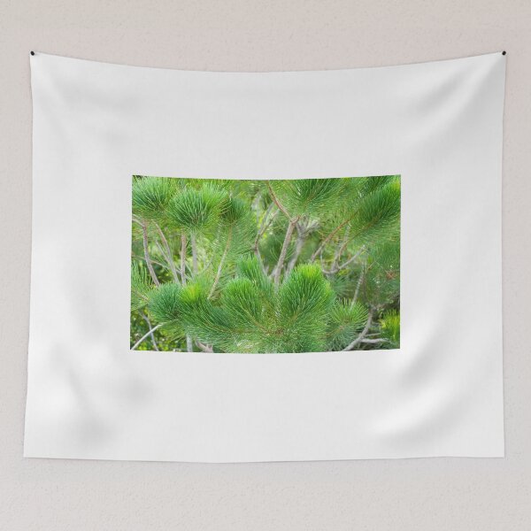 Item preview, Calothamnus Foliage designed and sold by metriognome.