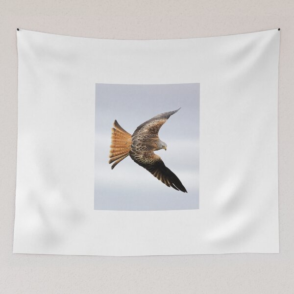 Item preview, Raptor soaring designed and sold by Grant Glendinning.