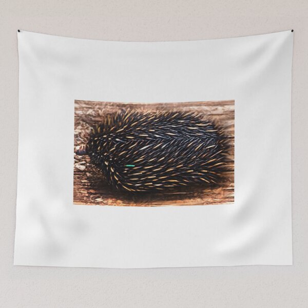 Item preview, Speedy Echidna designed and sold by miroslava.