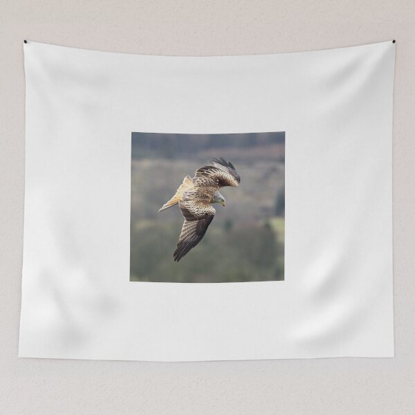 Item preview, Red Kite in flight designed and sold by Grant Glendinning.
