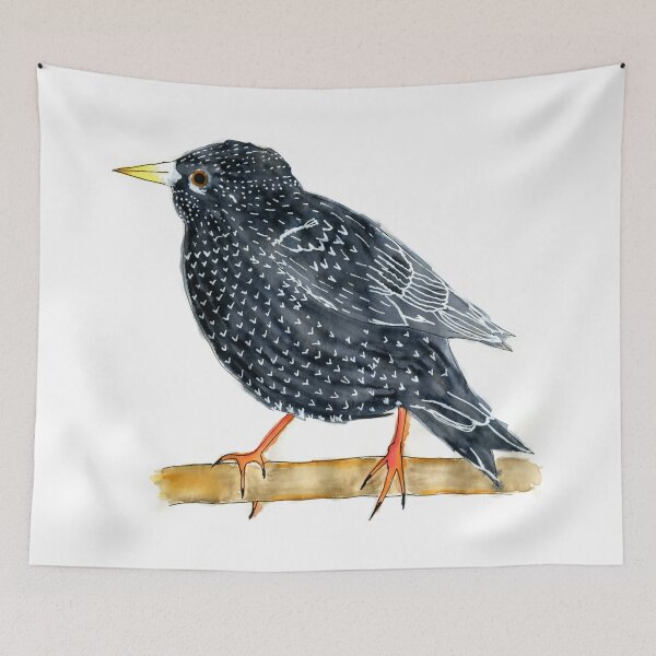 Item preview, Starling designed and sold by annaillustrates.