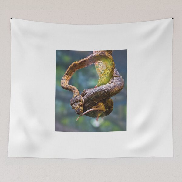 Item preview, boa constrictor dispatching a mouse- 1 designed and sold by David Chesluk.