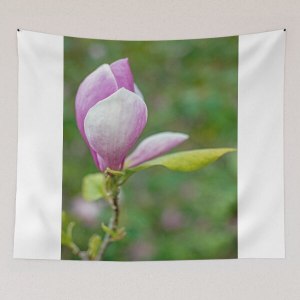 Item preview, Magnolia Flower designed and sold by Cameranick.