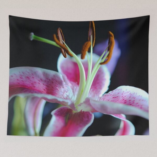 Item preview, Stargazer Lily designed and sold by bloomingvine.