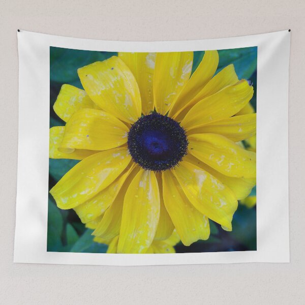 Item preview, Black Eyed Susan with Water Droplets designed and sold by coribeth.
