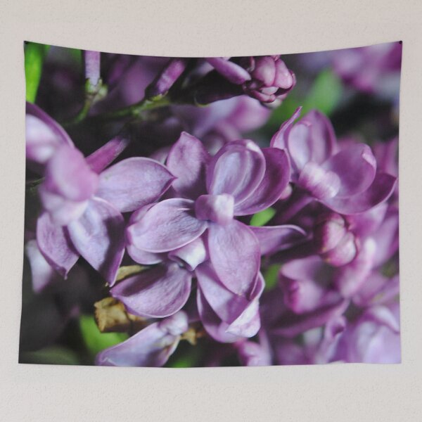 Aperçu de l'œuvre Macro Lilacs créée et vendue par bloomingvine.
