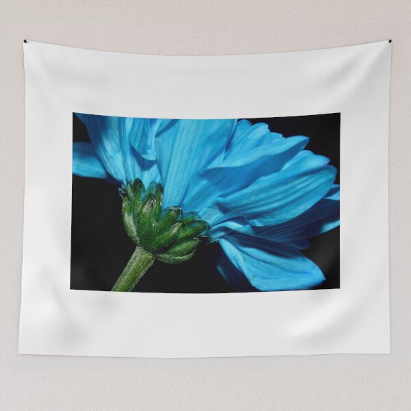 Item preview, Blue Chrysanthemum  designed and sold by Sarah Couzens.