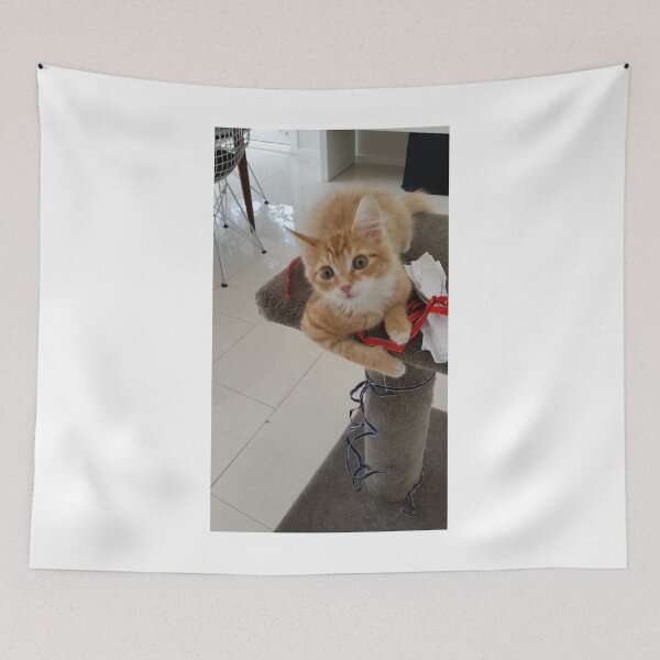 Item preview, I LOVE PLAYING WITH MY TOY...... designed and sold by kazaroodie.