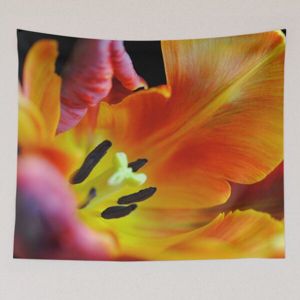 Item preview, Orange Parrot Tulip Close up designed and sold by bloomingvine.
