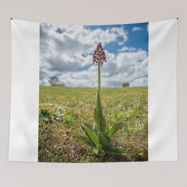 Item preview, Early Purple Orchid designed and sold by TonyPriestley.