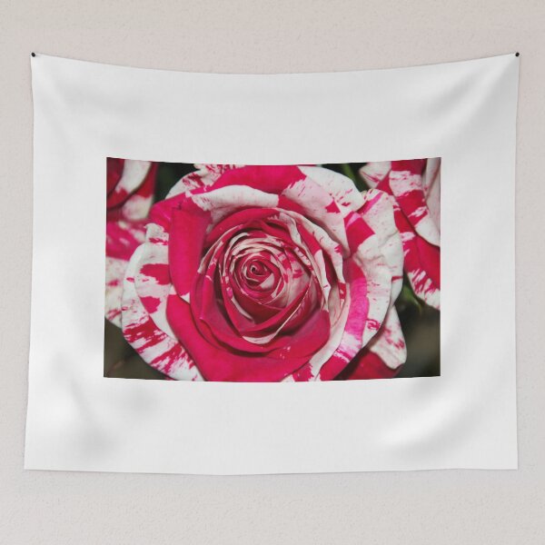 Item preview, Look At Me :) :) designed and sold by vbk70.