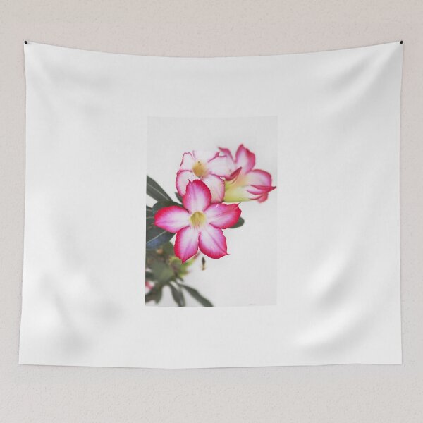 Item preview, Desert Rose-8959 designed and sold by Barbara Harris.
