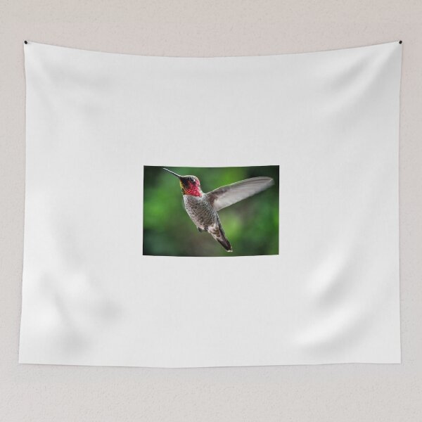 Item preview, MALE ANNA'S IN FLIGHT designed and sold by JAYMILO.