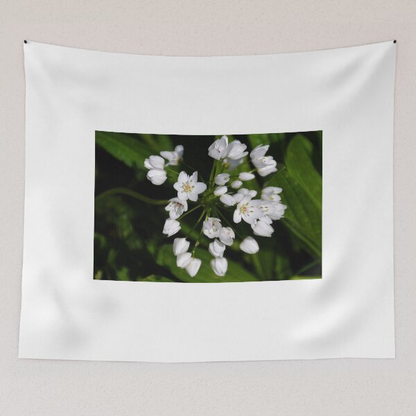 Item preview, White Wildflowers at Abbotsbury,Dorset UK designed and sold by lynn carter.