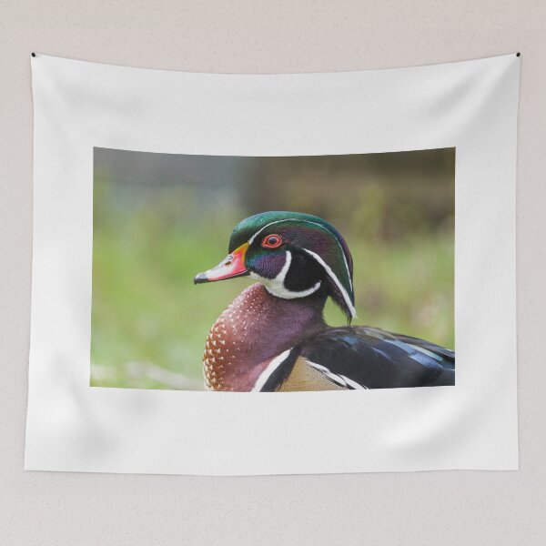 Item preview, Colourful Wood Duck designed and sold by heidipics.