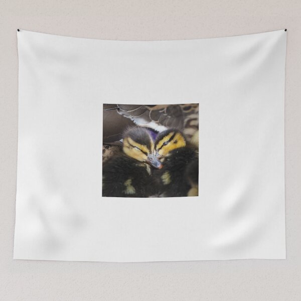 Item preview, Cuddle Time designed and sold by heidipics.
