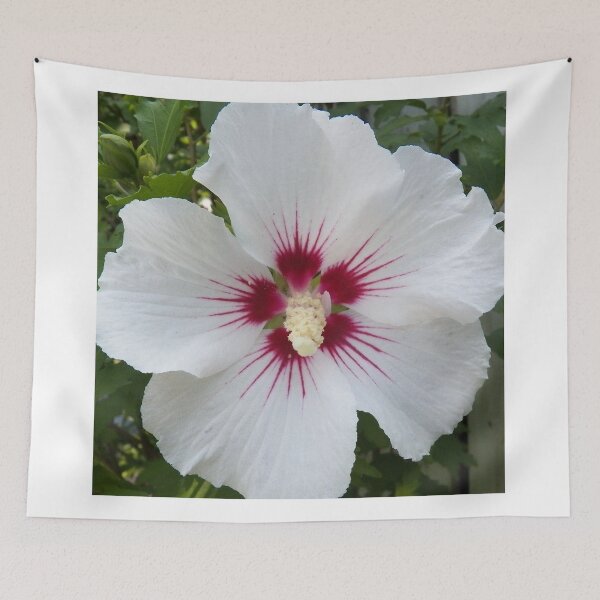 Item preview, Candy Stripe Rose of Sharon designed and sold by coribeth.
