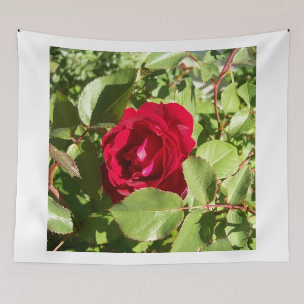 Item preview, Red Rose designed and sold by coribeth.