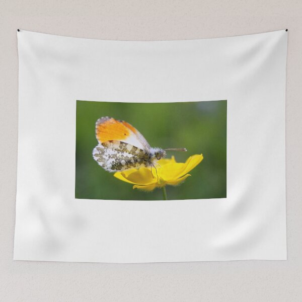 Item preview, Orange Tip on Buttercup designed and sold by Jo Nijenhuis.