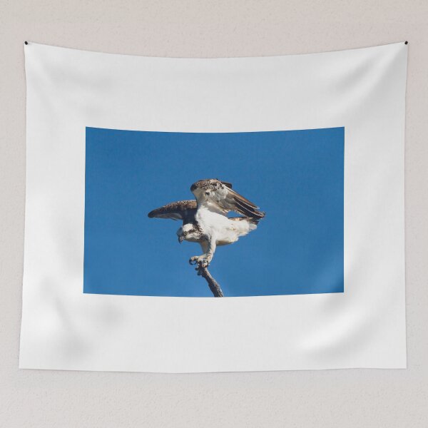 Item preview, Ready, Set ... designed and sold by byronbackyard.