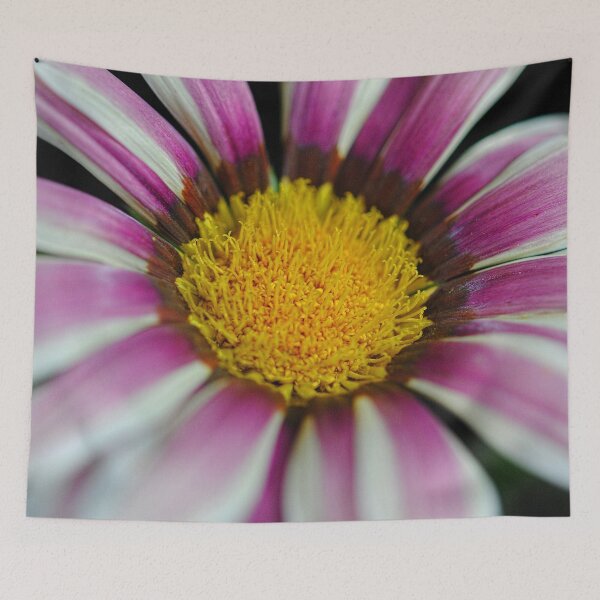 Item preview, Pink and White Striped Flower With pollen designed and sold by bloomingvine.