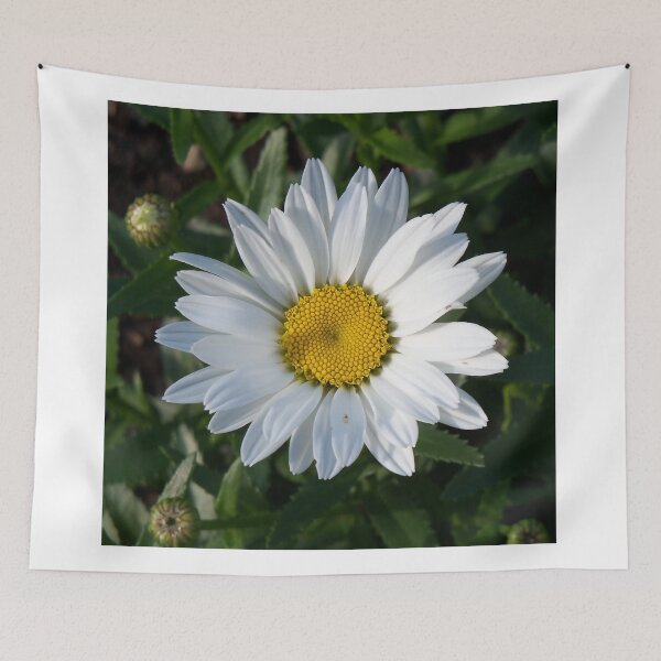 Item preview, White Daisy designed and sold by coribeth.