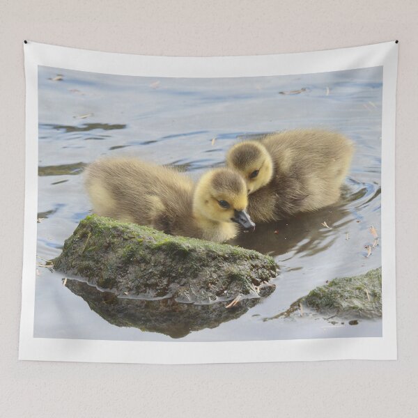 Item preview, Canada Goslings designed and sold by Carl Olsen.