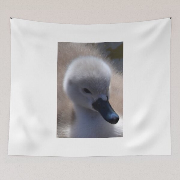 Item preview, Isn't  she Lovely .........Abbotsbury,Dorset uk designed and sold by lynn carter.