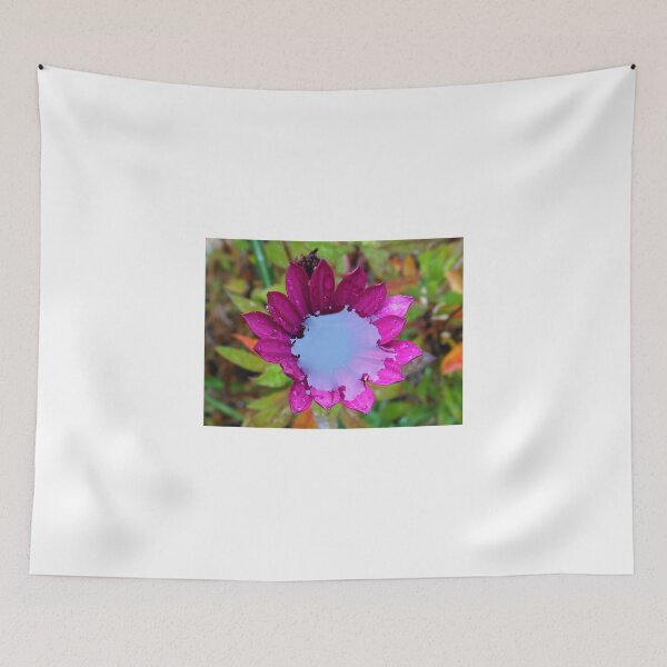 Item preview, Too much of a good thing! Daisy SOS! designed and sold by MidnightMelody.