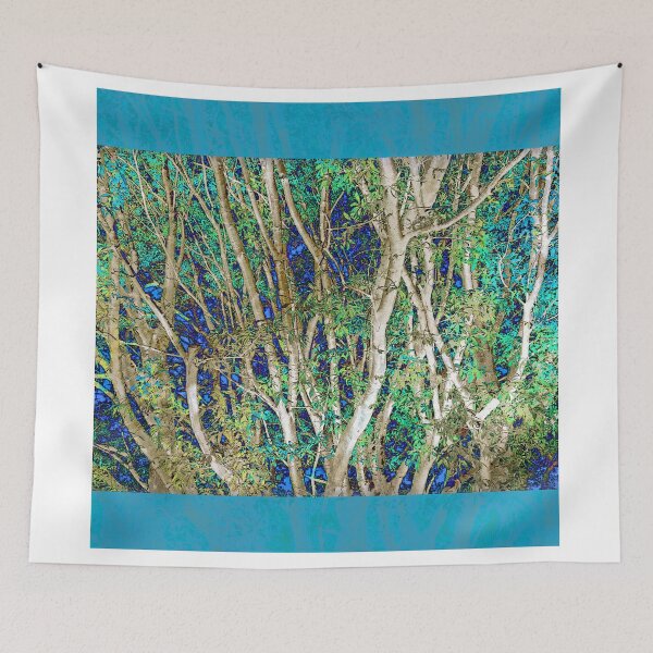 Aperçu de l'œuvre "Jewels" Scarf~Turquoise Textured Borders créée et vendue par Susan Werby.