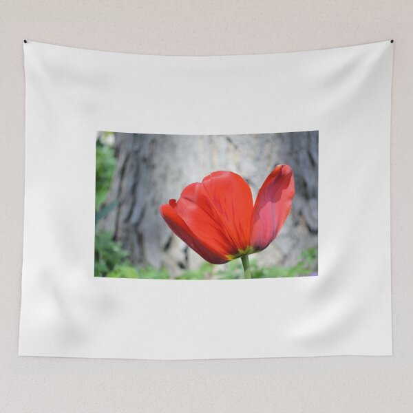 Item preview, Two-Tone Red Tulip designed and sold by Kathleen Brant.