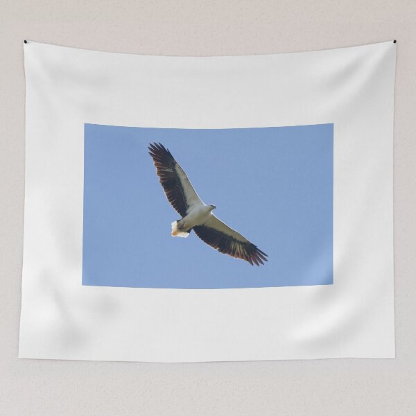 Item preview, Skywards designed and sold by byronbackyard.